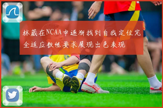 林葳在NCAA中逐渐找到自我定位完全适应教练要求展现出色表现